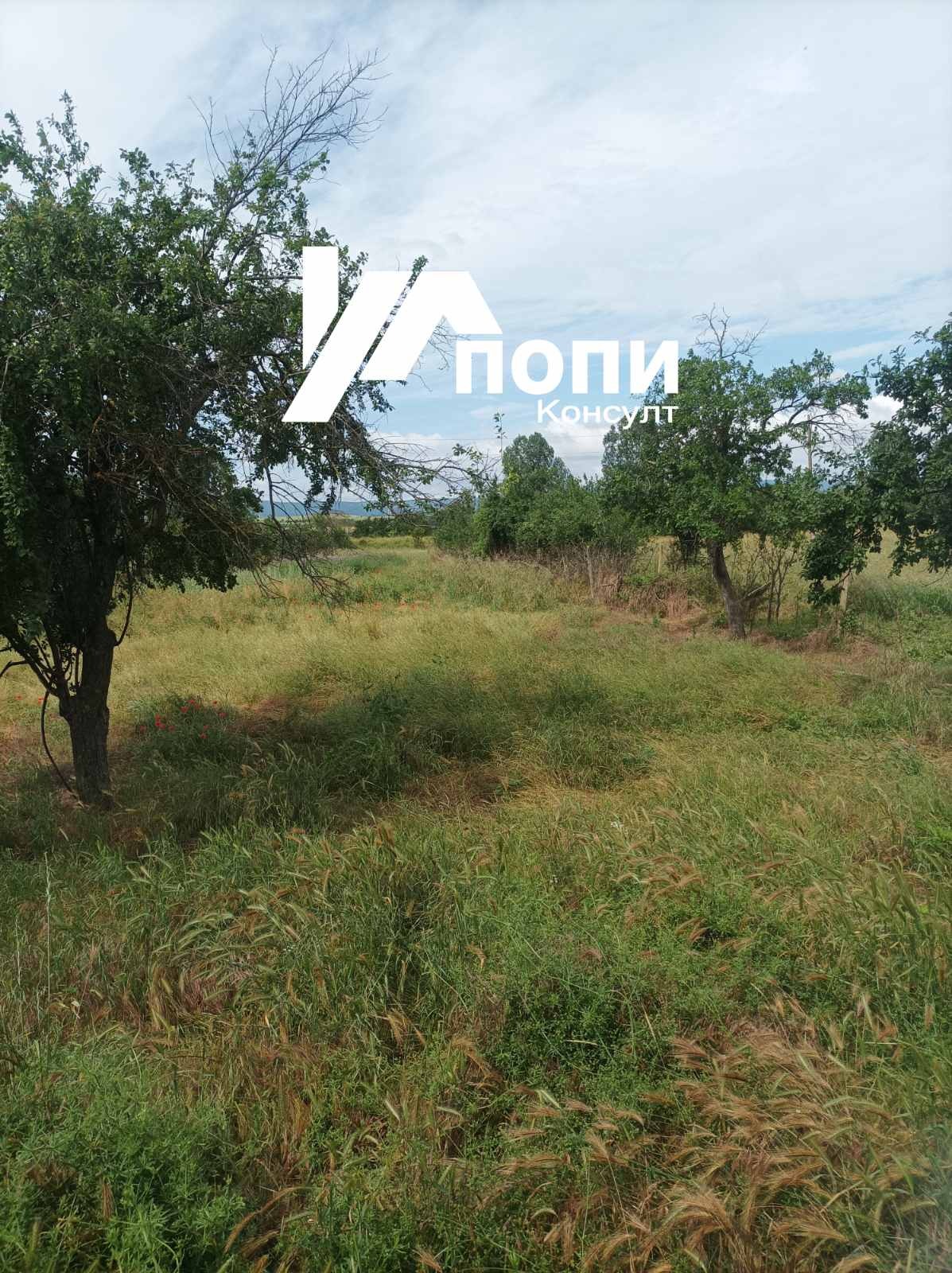 Продава КЪЩА, с. Кълново, област Шумен, снимка 11 - Къщи - 54966261
