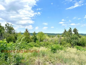 Juoni Balvan, Veliko Tarnovo alue 1