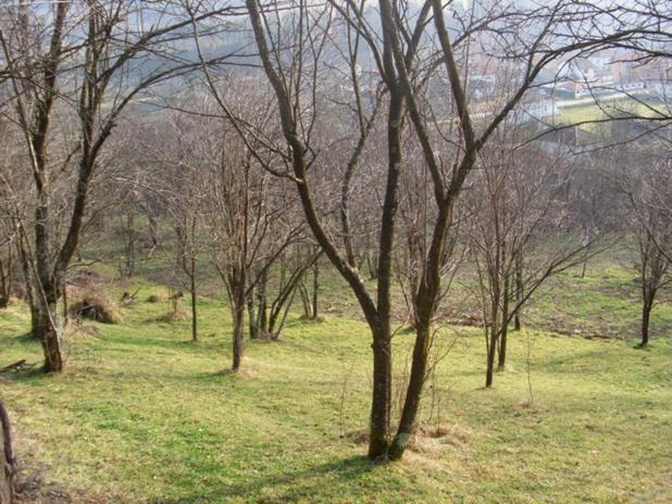 Προς πώληση  Οικόπεδο περιοχή Lovech , Απρηλτση , 1033 τ.μ | 27853876 - εικόνα [3]