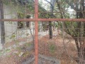 Продава КЪЩА, област Русе, с. Бръшлен • 12000 лв. • 56154359 — Holmes.bg