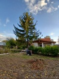 Продава КЪЩА, област Хасково, с. Сираково • 120000 € • 35438282 5