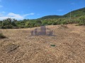 Продава  Парцел град Шумен , Дивдядово , 1716 кв.м | 82631029 - изображение [5]