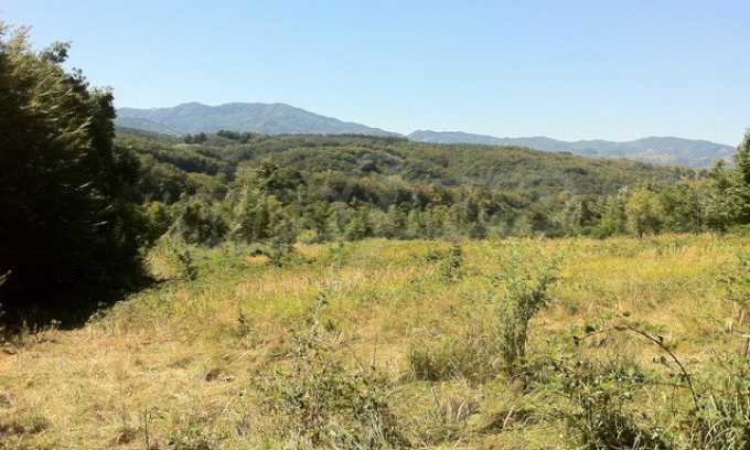 Продава ПАРЦЕЛ | Imot.bg — изображение 4