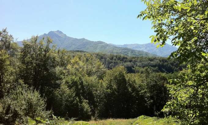 Продава ПАРЦЕЛ | Imot.bg — изображение 2