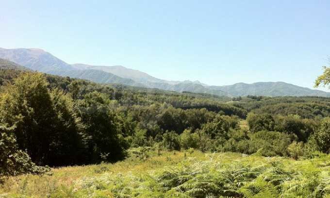 Продава ПАРЦЕЛ | Imot.bg — изображение 1