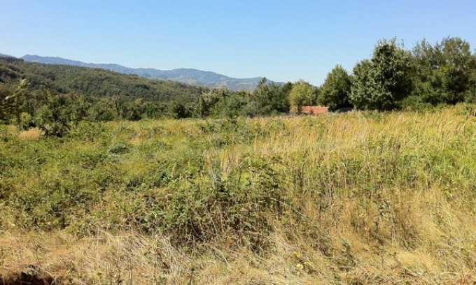 Продава ПАРЦЕЛ | Imot.bg — изображение 5