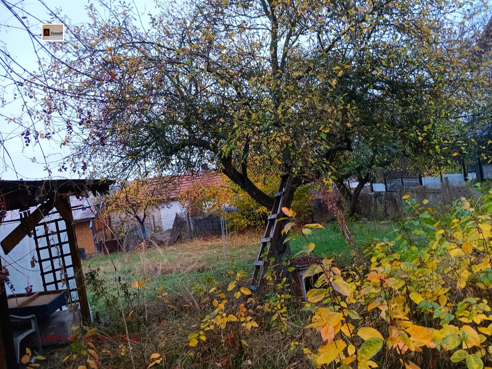 ������� ���� | Imot.bg � ����������� 10