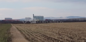 ������ ������� ������