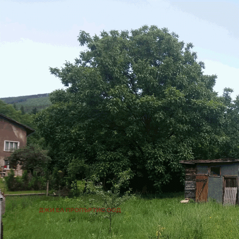 Till salu  Hus region Sofia , Vlado Tritjkov , 30 kvm | 70895177 - bild [3]
