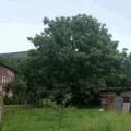 Продава КЪЩА, област София, с. Владо Тричков • 75000 € • 14836901 — Holmes.bg