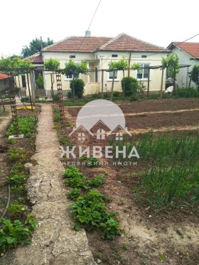 Дом Паскалево, область Добрич 4