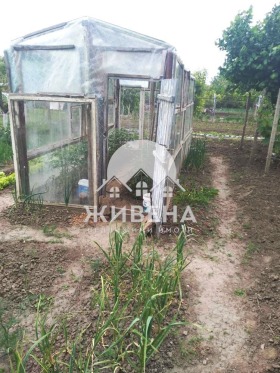 Дом Паскалево, область Добрич 8