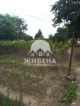 Дом Паскалево, область Добрич 7