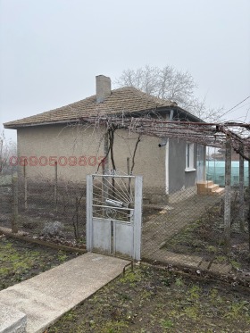 ����� ������� ����,��. ������� ������, ������ ������