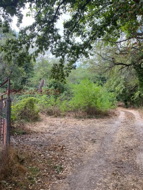 ������� ������ | Imot.bg � ����� ������ 5