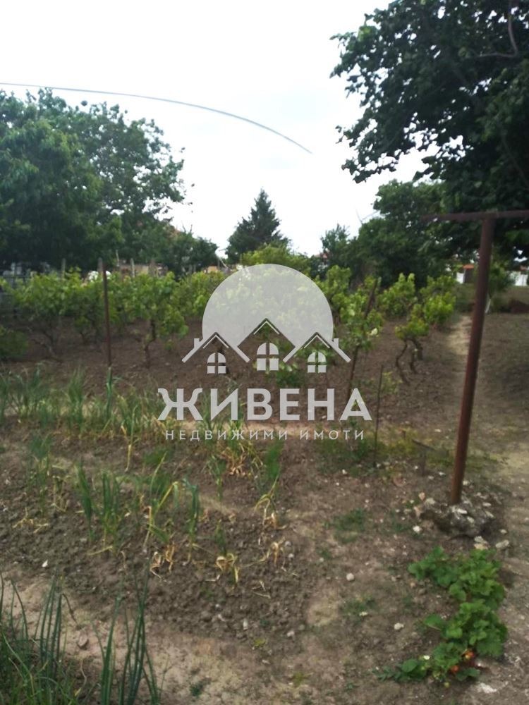 Продается  Дом область Добрич , Паскалево , 80 кв.м | 43360687 - изображение [7]
