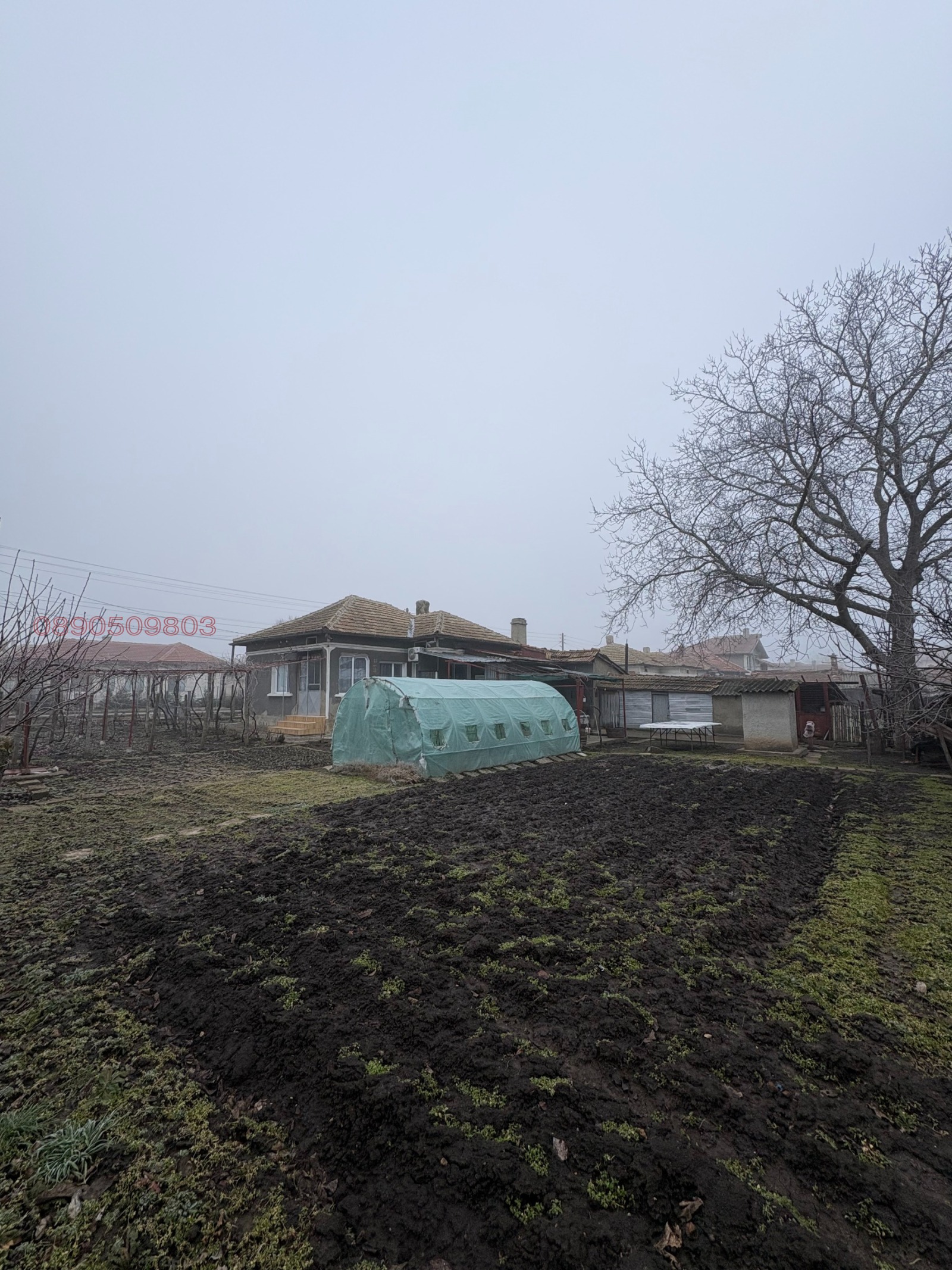 Продава КЪЩА, гр. Генерал Тошево, област Добрич, снимка 2 - Къщи - 54059443