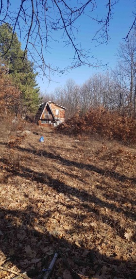 ������� ���� | Imot.bg � ����� ������ 3