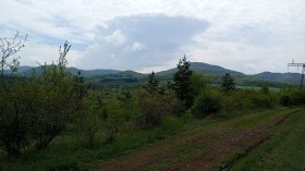 Plott Divotino, region Pernik