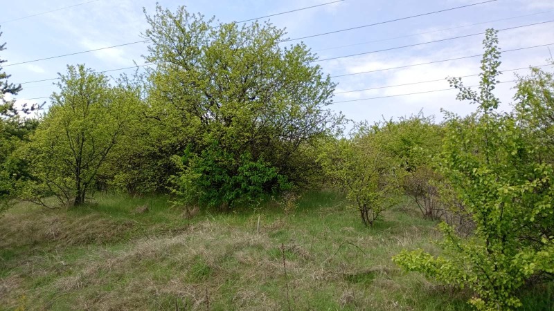 Til salgs  Plott region Pernik , Divotino , 600 kvm | 20998338 - bilde [2]