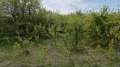 Продава ПАРЦЕЛ, с. Дивотино, област Перник, снимка 2