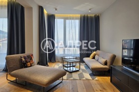 3+ bedroom Boyana, Sofia 3