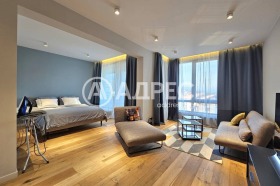 3+ bedroom Boyana, Sofia 6