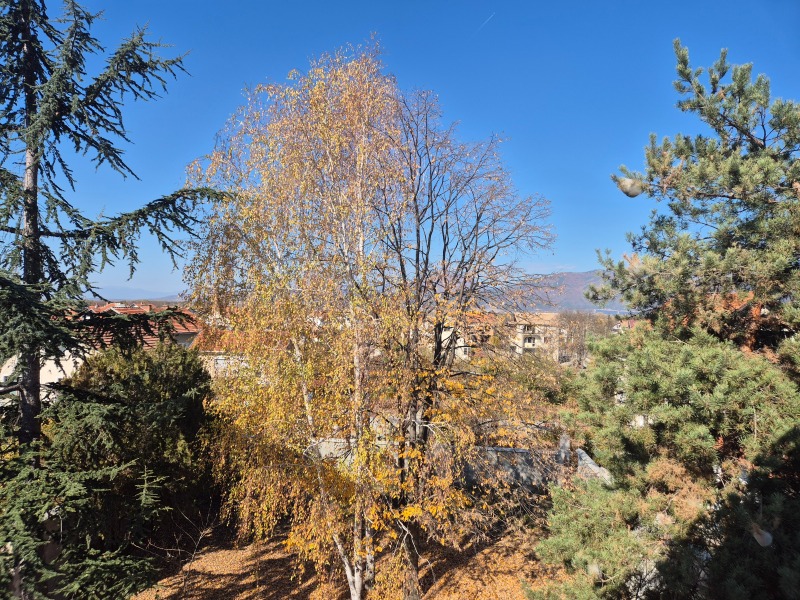 Продава КЪЩА, с. Ягода, област Стара Загора, снимка 6 - Къщи - 53309156