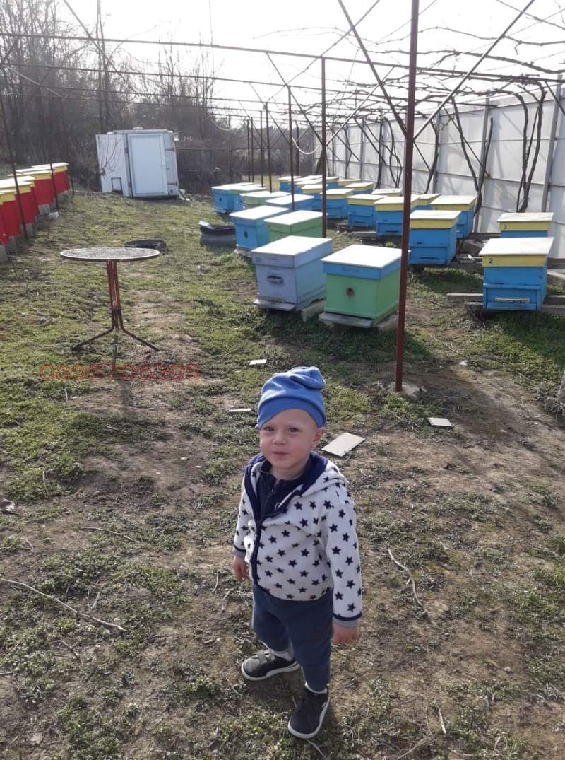 Продава ВИЛА, гр. Тутракан, област Силистра, снимка 2 - Вили - 53539057