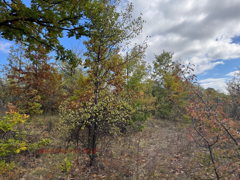Na sprzedaż  Działka region Sofia , Kruszowica , 600 mkw | 34826724 - obraz [9]