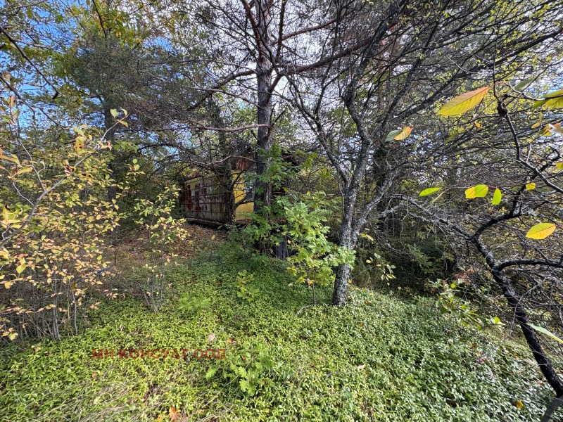 Na sprzedaż  Działka region Sofia , Kruszowica , 600 mkw | 34826724 - obraz [5]
