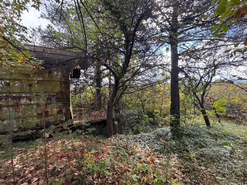 Na sprzedaż  Działka region Sofia , Kruszowica , 600 mkw | 34826724 - obraz [3]
