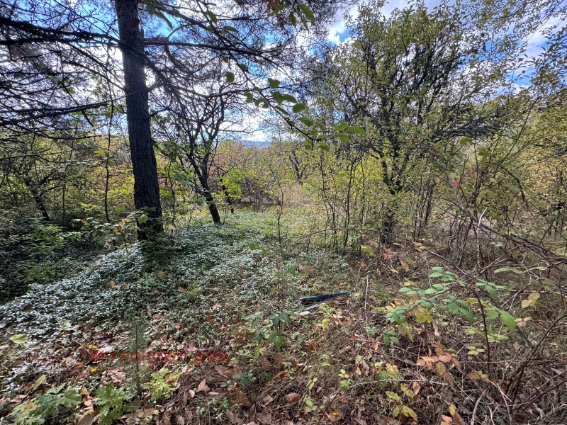 Na sprzedaż  Działka region Sofia , Kruszowica , 600 mkw | 34826724 - obraz [4]