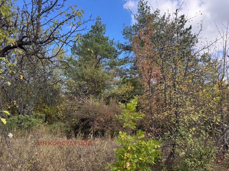 Na sprzedaż  Działka region Sofia , Kruszowica , 600 mkw | 34826724 - obraz [7]