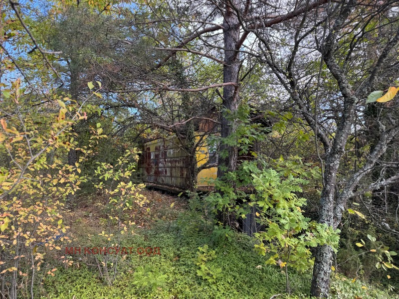 Na sprzedaż  Działka region Sofia , Kruszowica , 600 mkw | 34826724 - obraz [6]