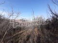 Продава ЗЕМЕДЕЛСКА ЗЕМЯ, с. Горно трапе, област Ловеч, снимка 2