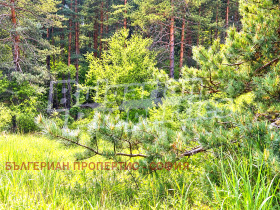 ������� ������ | Imot.bg � ����� ������ 10