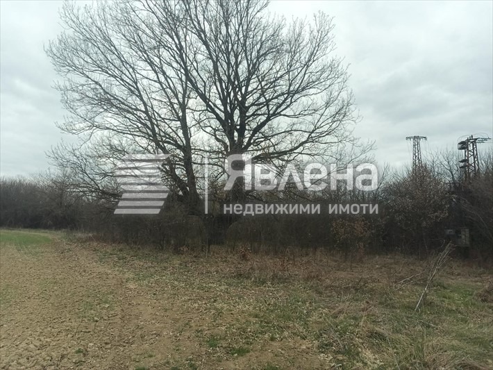 Продава ПАРЦЕЛ, с. Джурово, област София област, снимка 2 - Парцели - 55533365