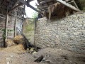 Продава КЪЩА, област Габрово, гр. Трявна • 39900 лв. • 64980839 — Holmes.bg