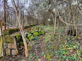 ������� ������ | Imot.bg � ����� ������ 12