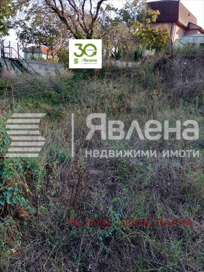 Продава ПАРЦЕЛ, гр. Варна, м-т Прибой, снимка 4 - Парцели - 49551837