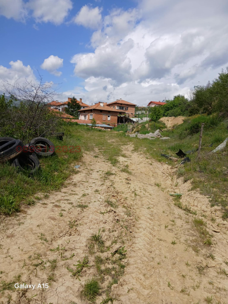 Продава ПАРЦЕЛ, с. Борово, област Благоевград, снимка 3 - Парцели - 53045376