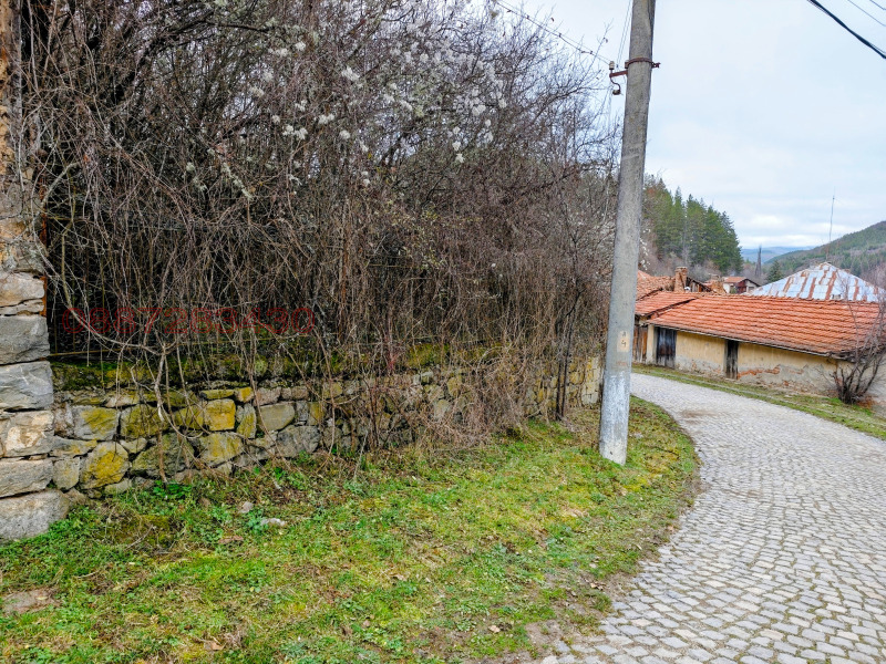 Продава ПАРЦЕЛ, с. Дивля, област Перник, снимка 4 - Парцели - 53005741