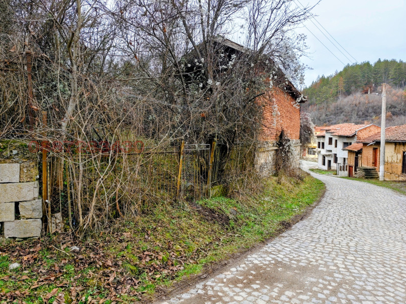 Продава ПАРЦЕЛ, с. Дивля, област Перник, снимка 2 - Парцели - 53005741