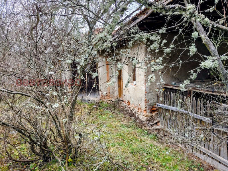 Продава ПАРЦЕЛ, с. Дивля, област Перник, снимка 12 - Парцели - 53005741