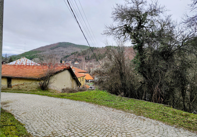 Продава ПАРЦЕЛ, с. Дивля, област Перник, снимка 5 - Парцели - 53005741