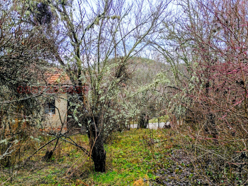 Продава ПАРЦЕЛ, с. Дивля, област Перник, снимка 9 - Парцели - 53005741