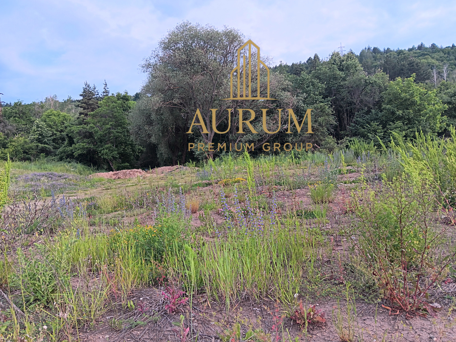 Продава ПАРЦЕЛ, гр. София, с. Герман, снимка 3 - Парцели - 53870379