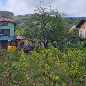 ������ ������� ������