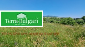 ����� ������� ���������� ����,�. ���������, ������ ������